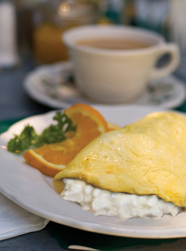 Cottage Cheese Omelet - VNANNJ